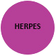 herpes-copy