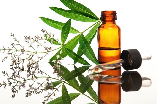 oe-verbena