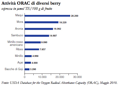 Orac-Maqui1