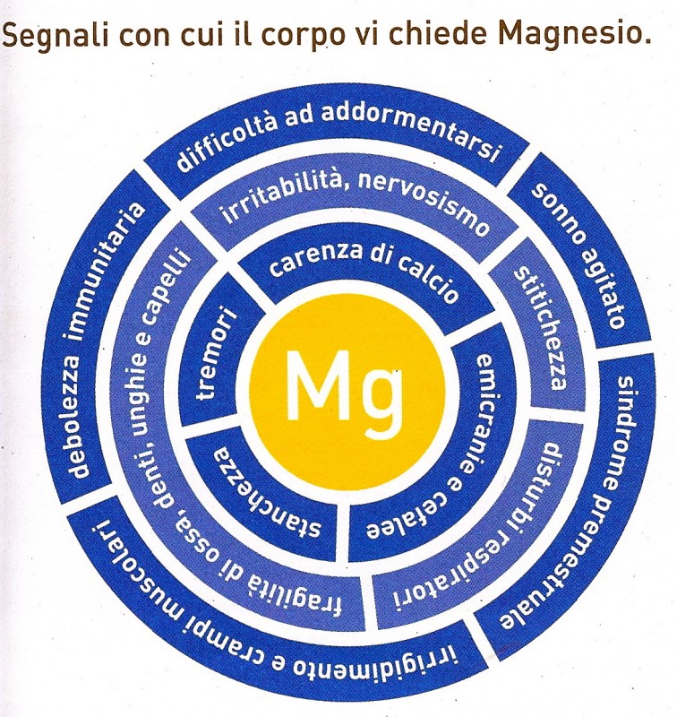 magnesio scheda