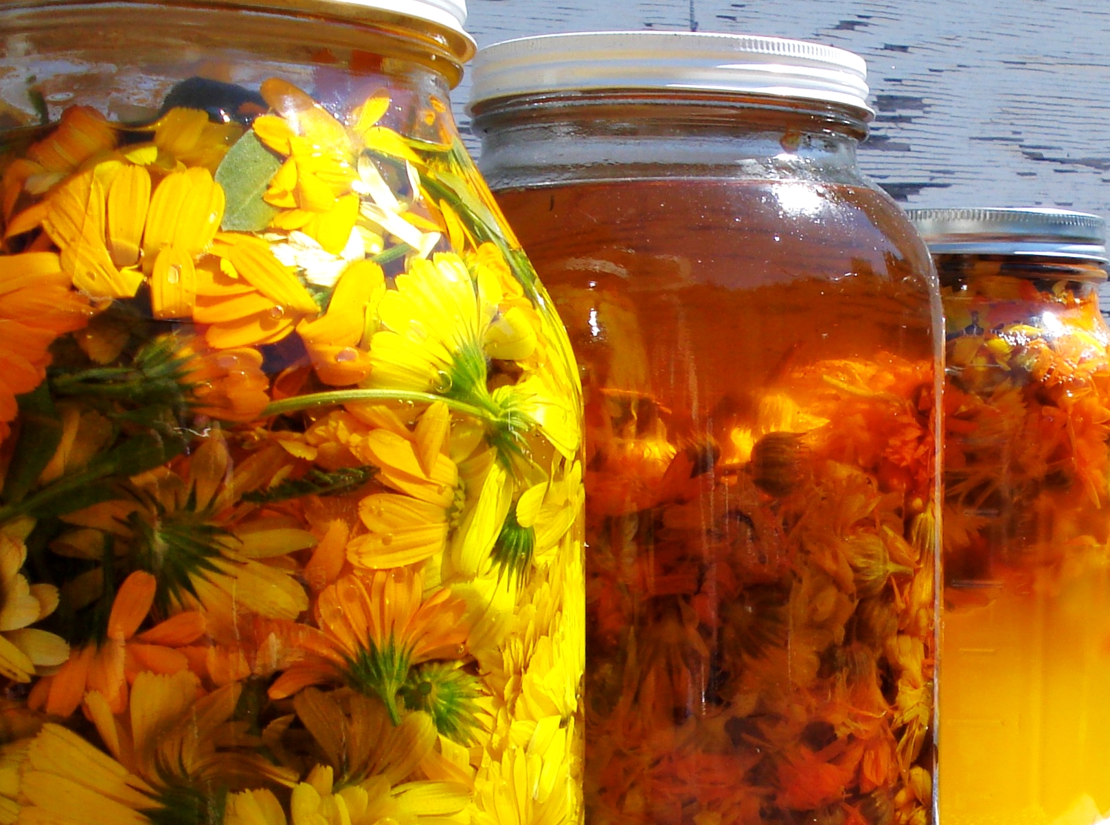 calendula olio