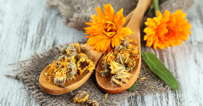 calendula