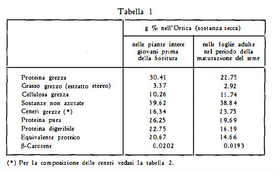 ortica1