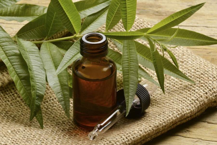 tea-tree-oil