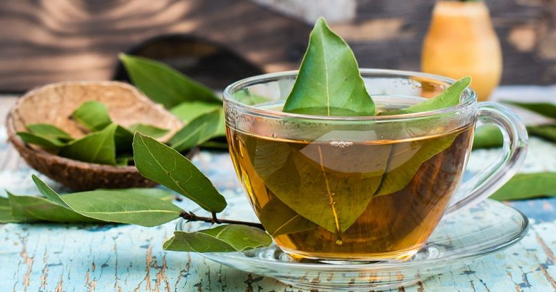 Fresh tea from bay leaf in a cup on a wooden rustic table. Copy space. Web banner