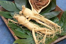 ginseng siberiano 2